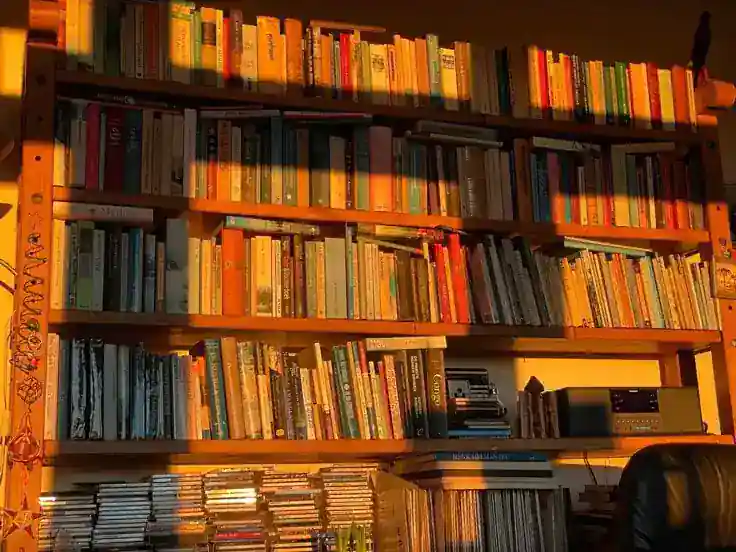 Cozy reading room background
